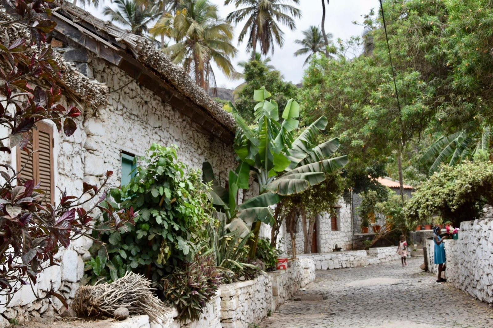 Stone houses and palm trees along Rua Banana in Cidade Velha, Santiago, Cape Verde